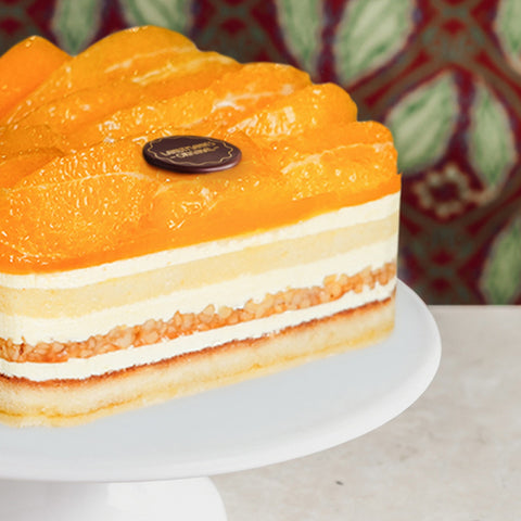 Orangen Torte